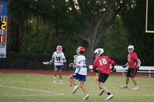 Enlarge photo 127
