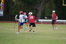 Enlarge photo 129
