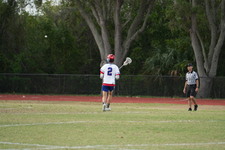 Enlarge photo 154