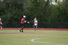 Enlarge photo 157