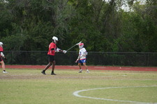 Enlarge photo 158