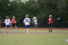 Enlarge photo 164