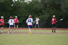 Enlarge photo 163