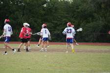 Enlarge photo 168