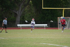 Enlarge photo 169