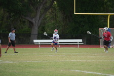 Enlarge photo 170