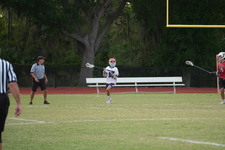 Enlarge photo 173