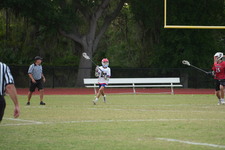 Enlarge photo 174