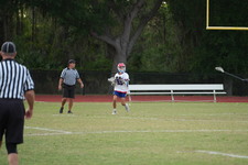 Enlarge photo 178