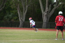 Enlarge photo 183