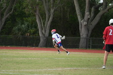 Enlarge photo 184