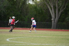 Enlarge photo 187