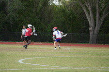 Enlarge photo 186