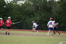 Enlarge photo 203