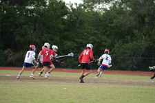 Enlarge photo 207