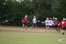 Enlarge photo 209