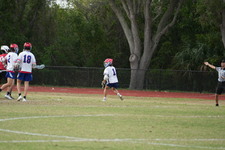 Enlarge photo 213