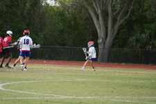 Enlarge photo 215