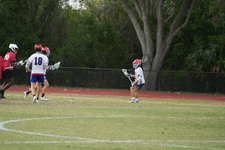 Enlarge photo 217