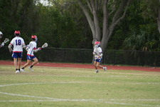 Enlarge photo 219