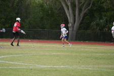 Enlarge photo 218