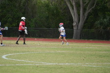 Enlarge photo 221