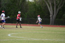 Enlarge photo 223