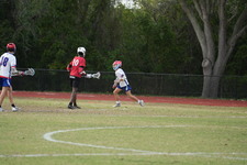 Enlarge photo 228