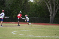 Enlarge photo 227