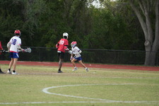 Enlarge photo 229