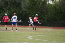 Enlarge photo 232