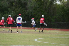 Enlarge photo 233