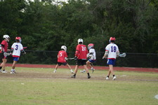 Enlarge photo 239