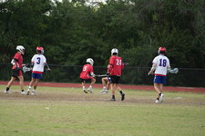 Enlarge photo 241