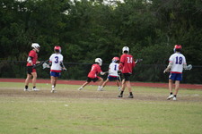 Enlarge photo 243