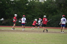 Enlarge photo 245