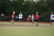 Enlarge photo 246