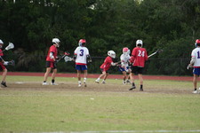 Enlarge photo 248