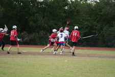 Enlarge photo 249