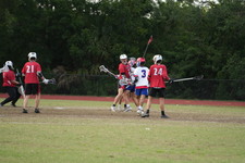 Enlarge photo 251