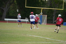 Enlarge photo 297