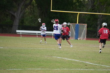 Enlarge photo 298