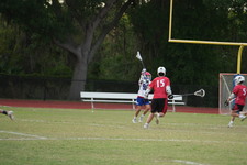 Enlarge photo 299