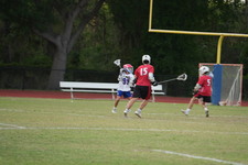 Enlarge photo 301