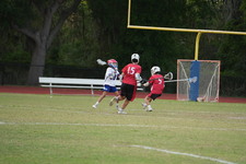Enlarge photo 304