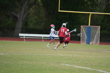 Enlarge photo 303