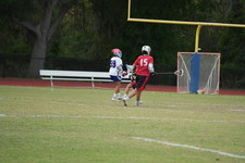 Enlarge photo 305