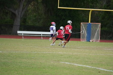 Enlarge photo 306