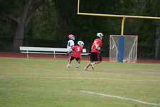 Enlarge photo 307