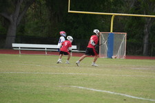 Enlarge photo 308